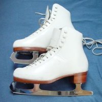 figure skating school